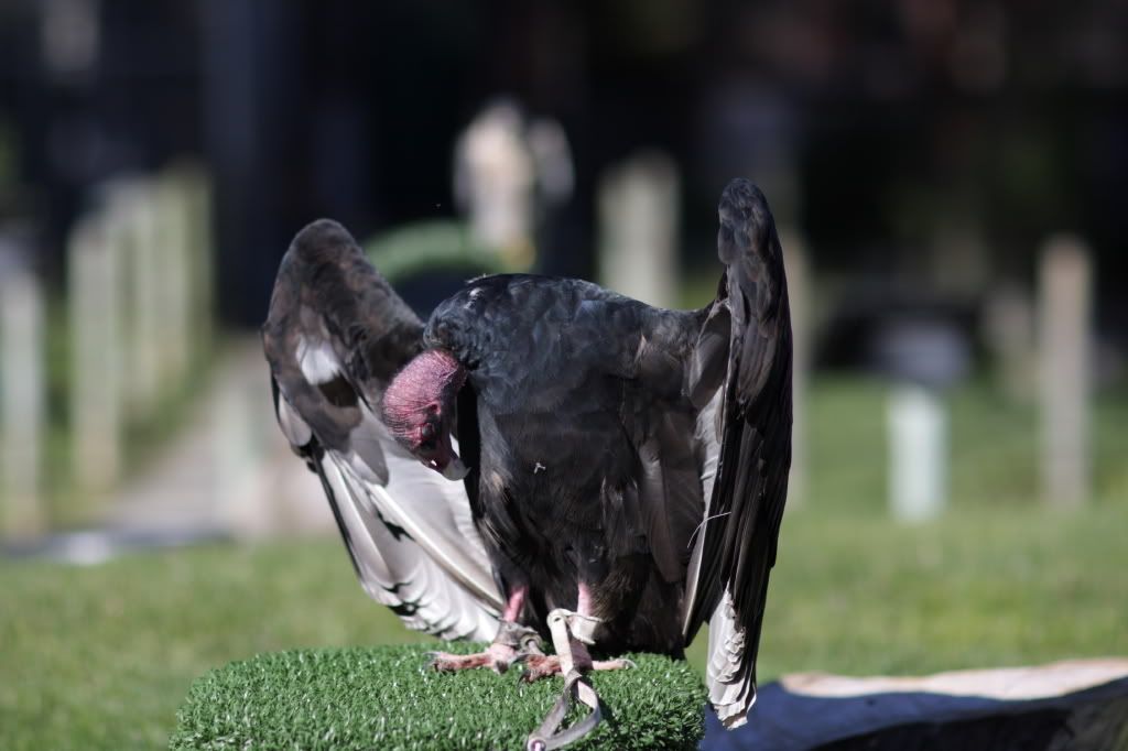 SFZOOJF0120.jpg