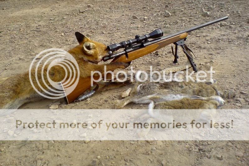 Foxhunt.jpg