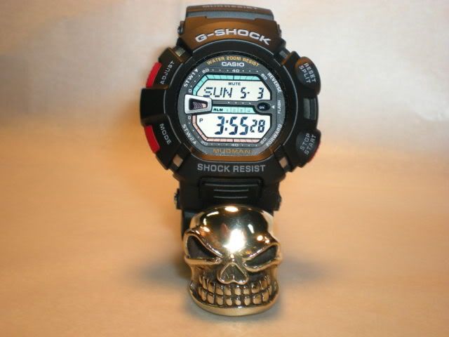 DSCN0781.jpg