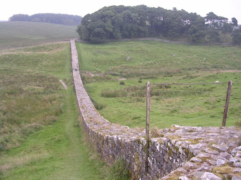 DSCN4449.jpg