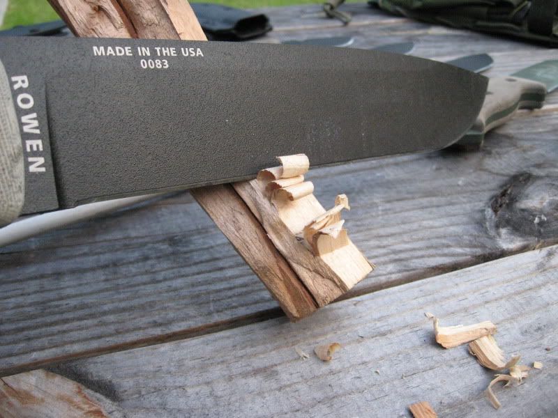 ESEESHARP014.jpg