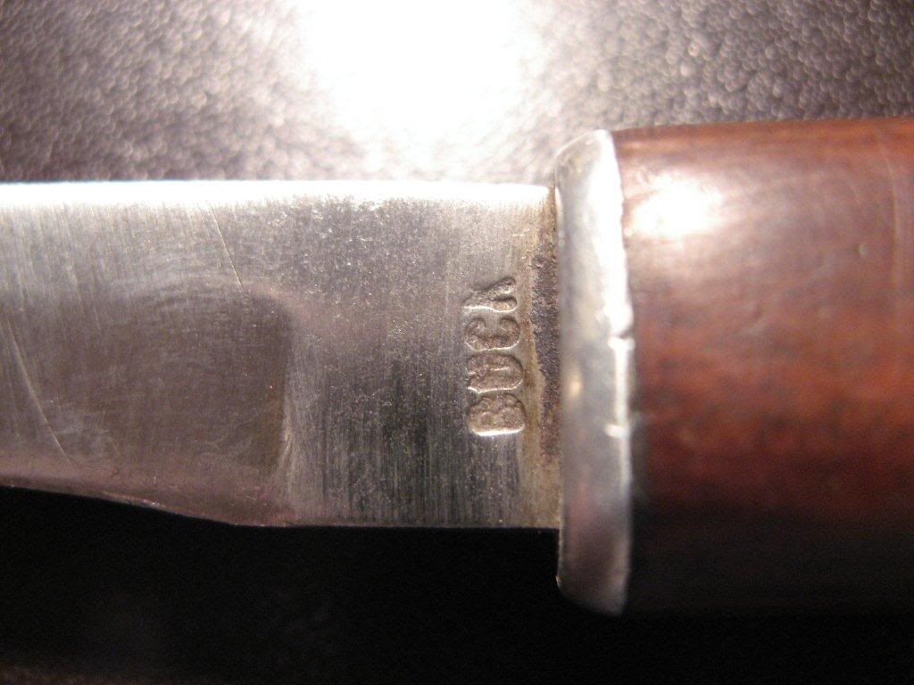 buck11.jpg