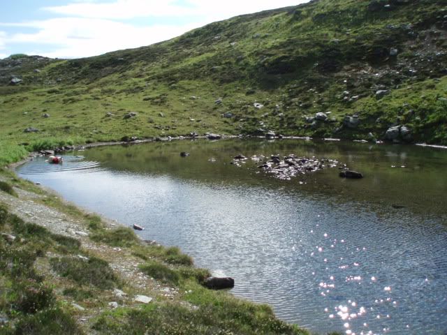 P8230063.jpg
