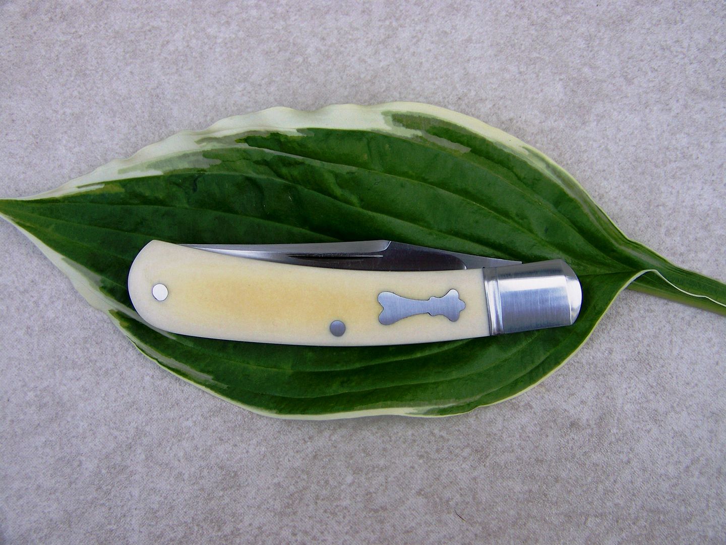 slippie28006.jpg