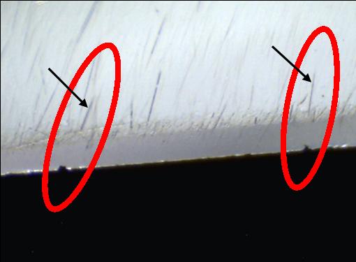 microchipping-1.jpg