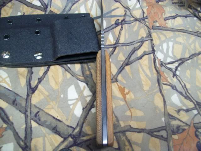 100_5650.jpg