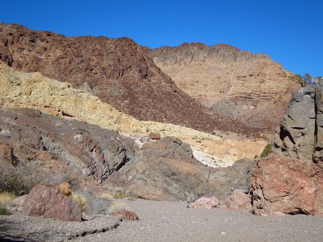 IMG_3990.jpg