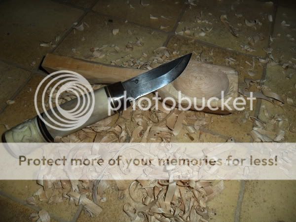 SAM_4156.jpg