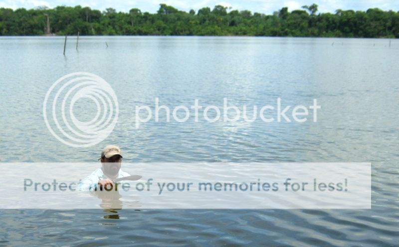 IMG_0346_zps738d4ac1.jpg