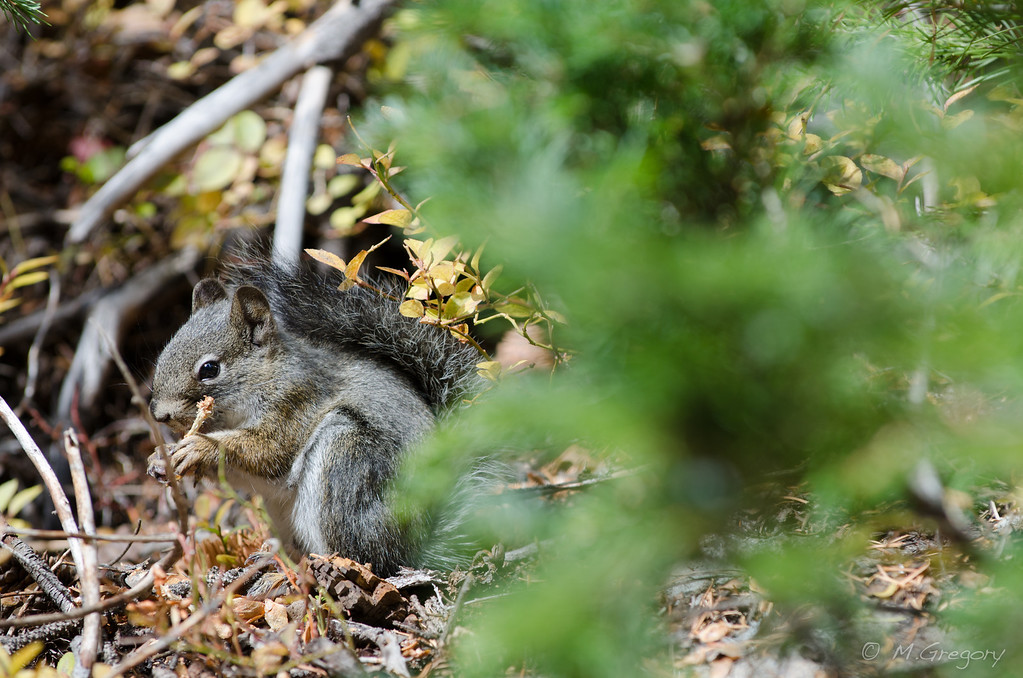 DSC9494-XL.jpg