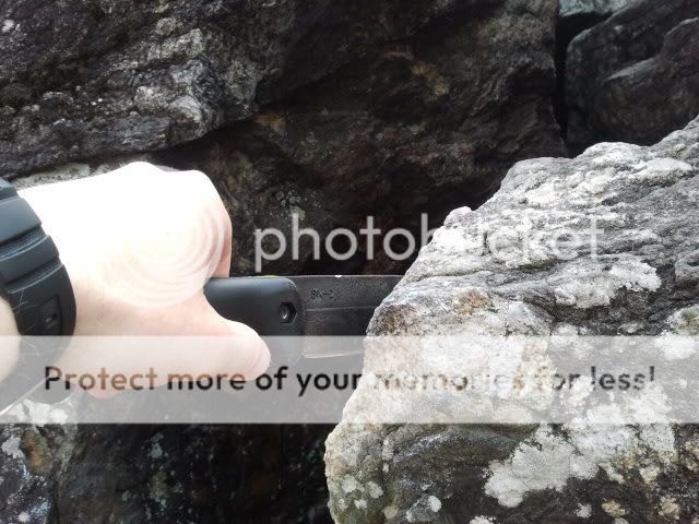 2012-03-17135954.jpg