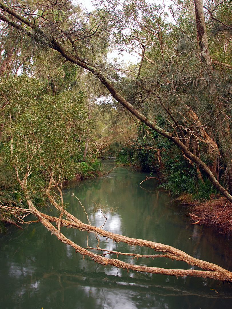 Stream3.jpg