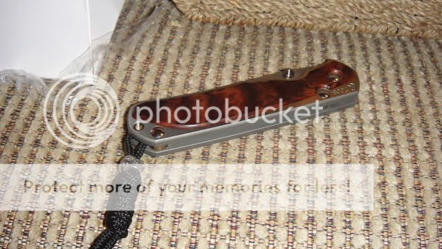 DSC01425.jpg