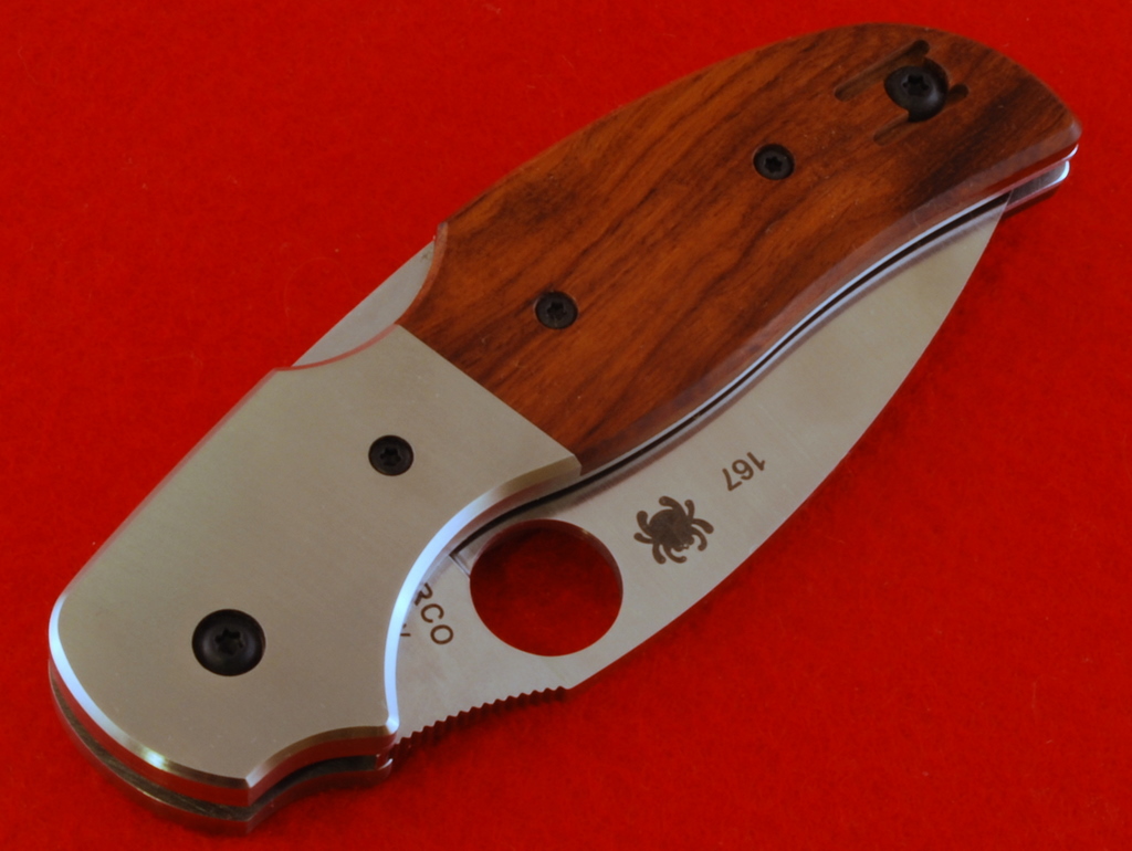 Sage_IV_02a.JPG