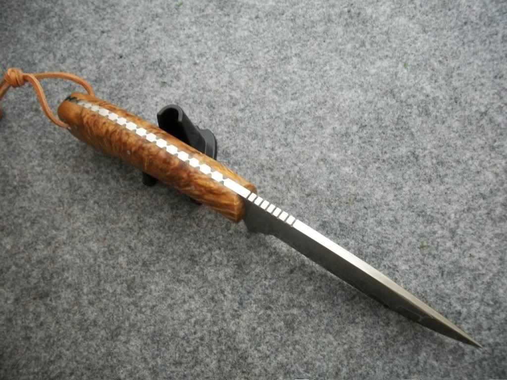 ayfF045.jpg