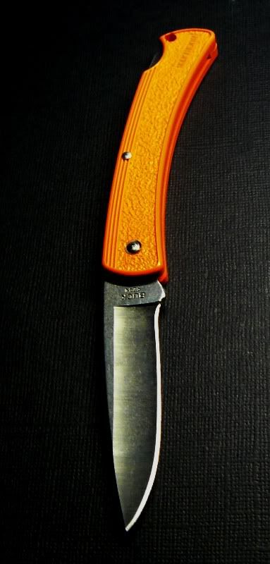 0424ORS-BBuckliteorange42401-09-2012015.jpg