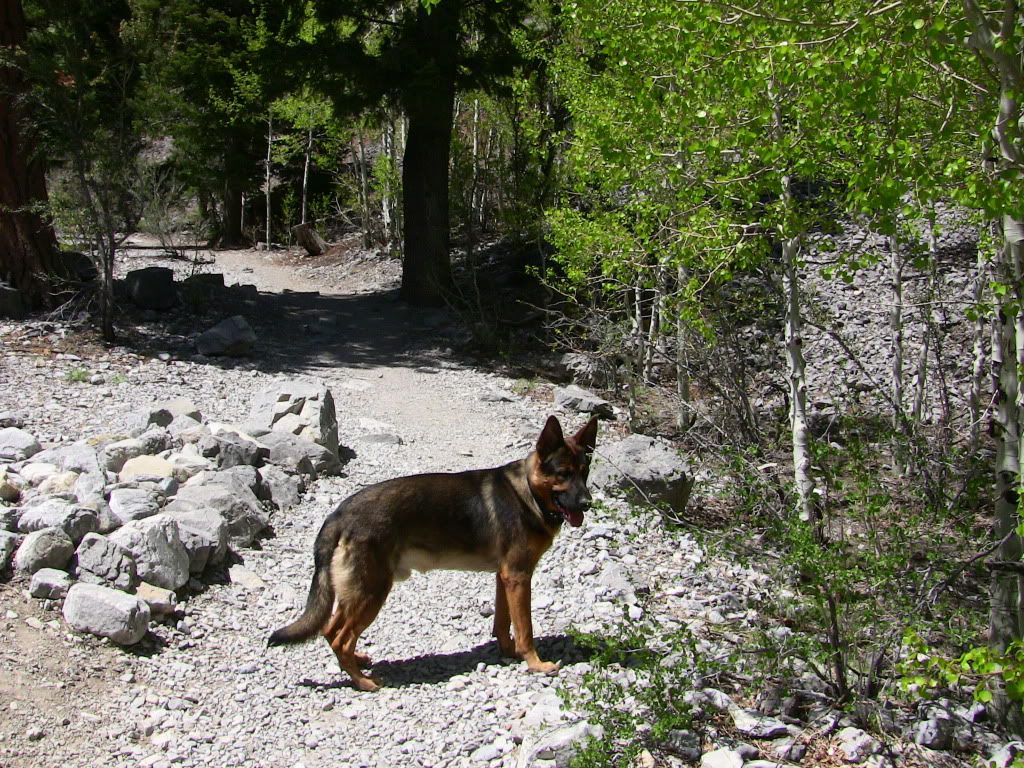 IMG_1085.jpg
