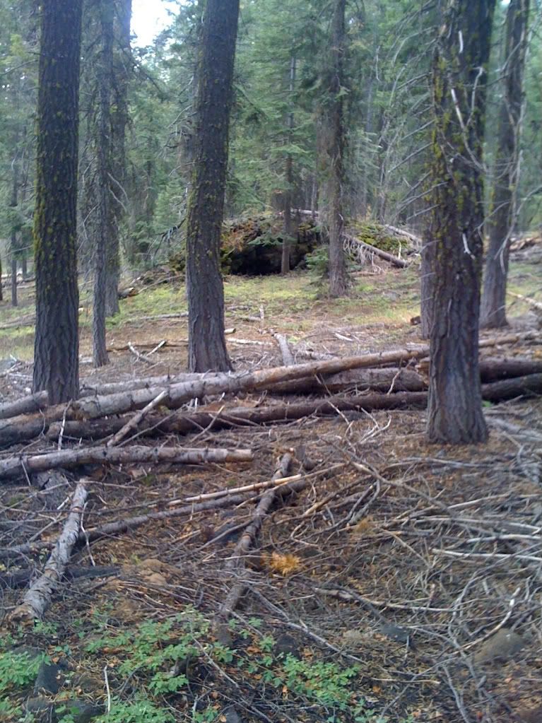 Picture198.jpg
