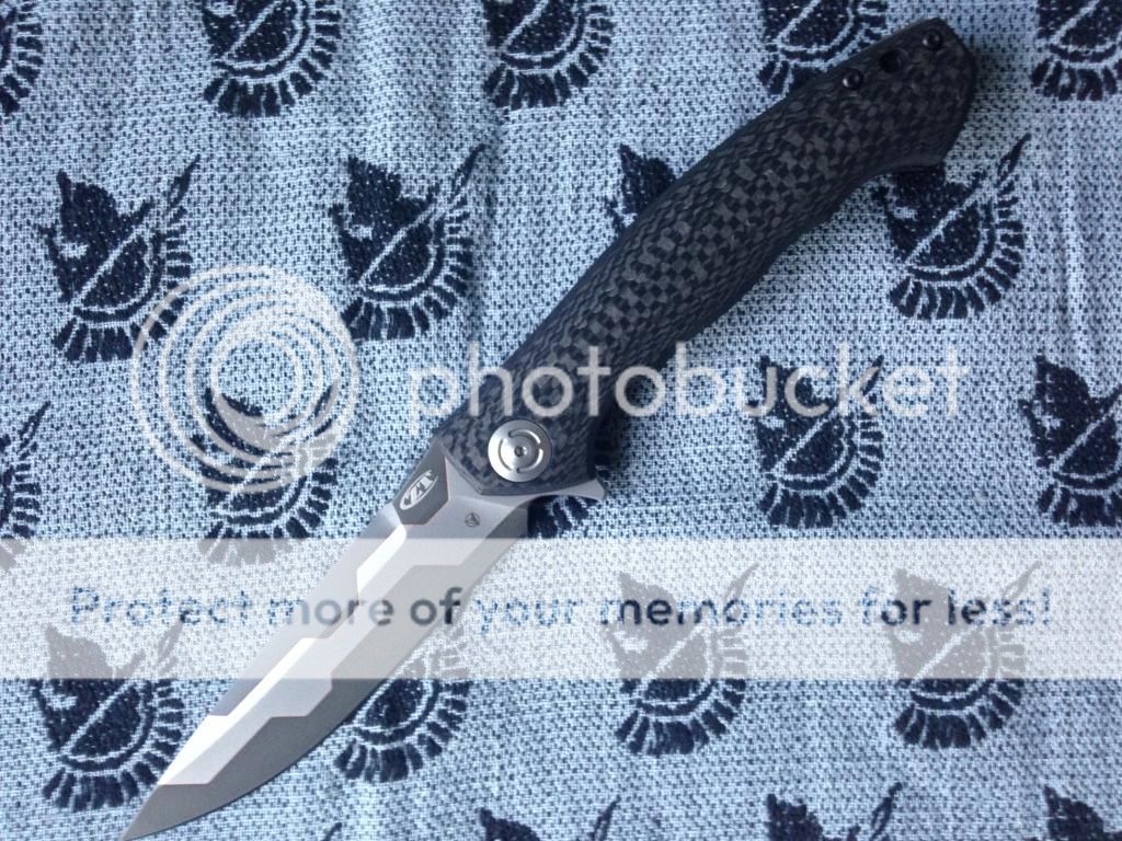 IMG_1151_zps2c1420fd.jpg