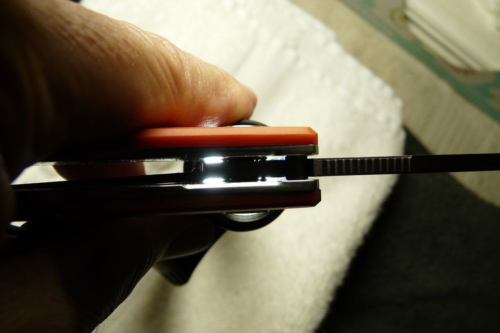 P1030729_zpsocpaqxig.jpg