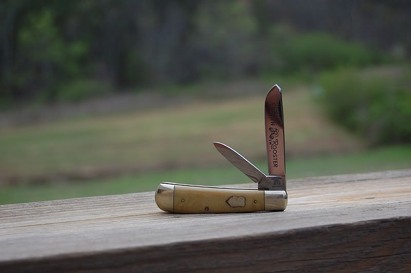 DSC_0203.jpg