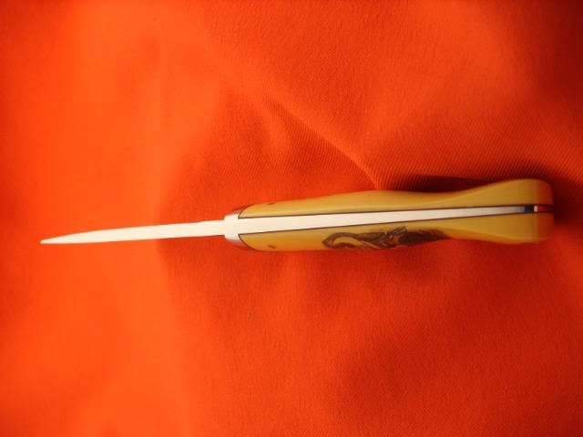 SS850164.jpg