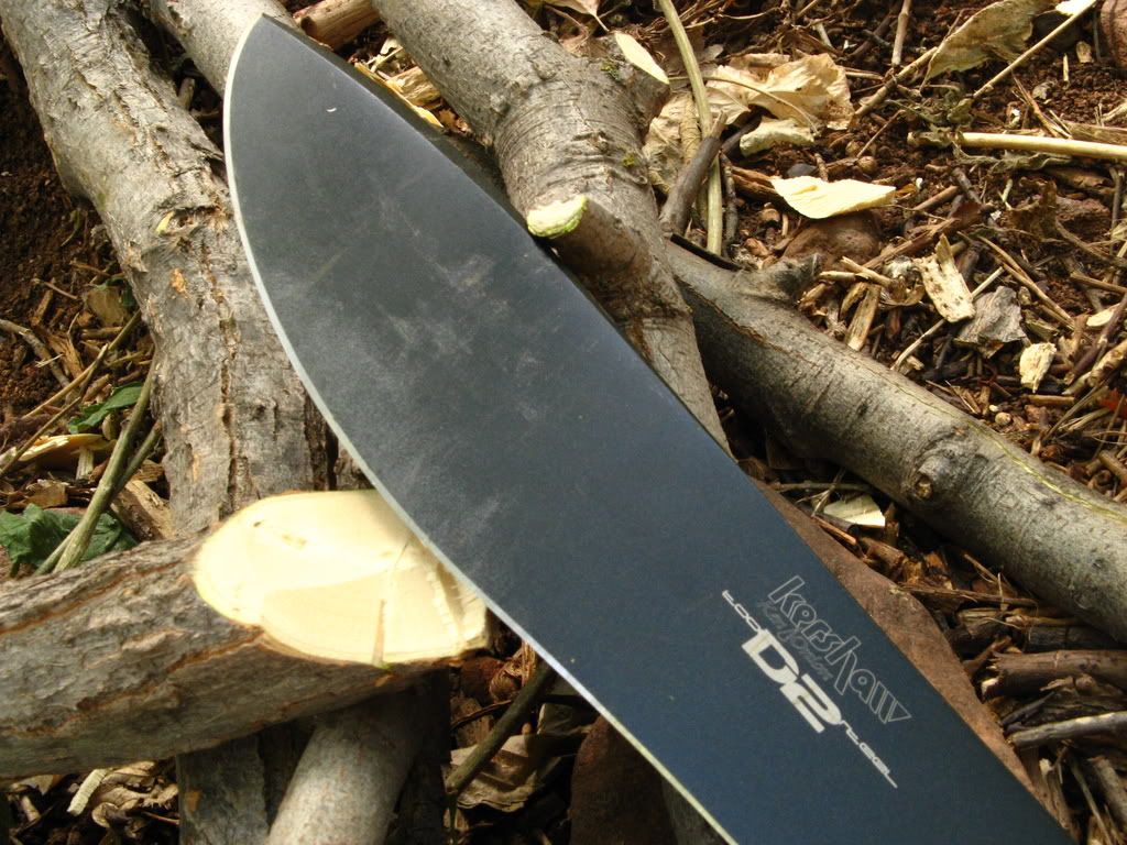87cd7889.jpg