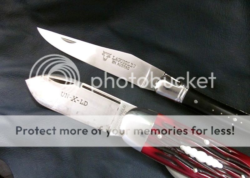 IMG_4186.jpg~original