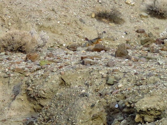 IMG_3261.jpg