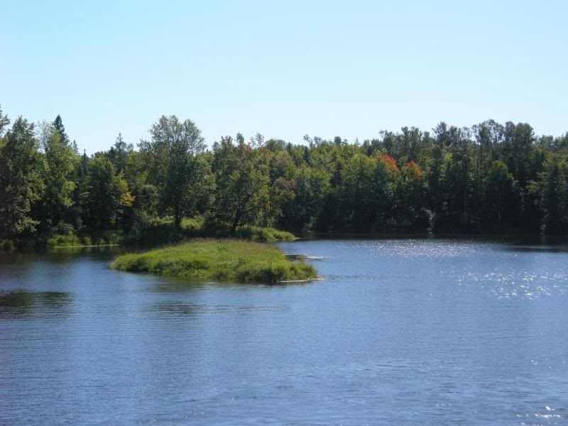 DSCN1538.jpg