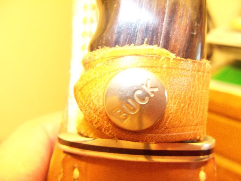 100_1031.jpg