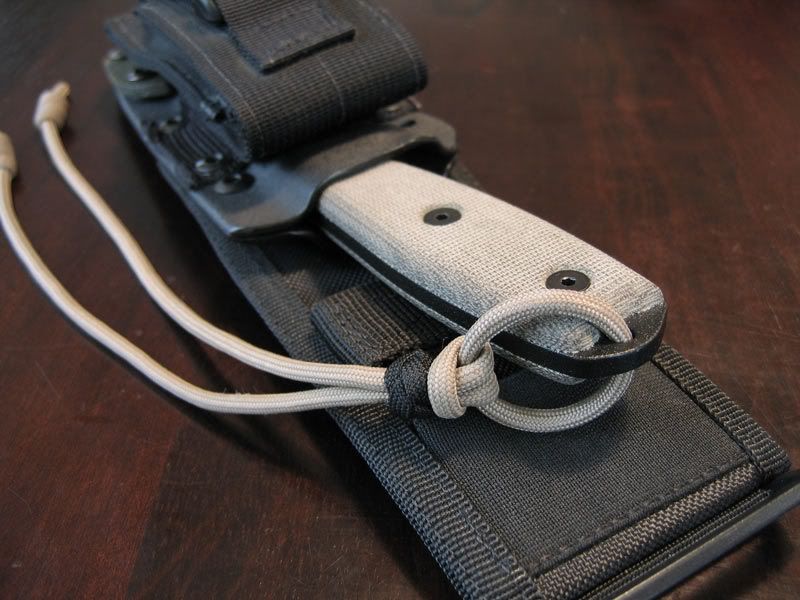 E4Ring.jpg