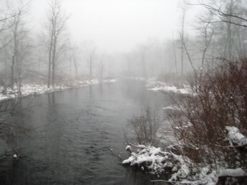 snow034.jpg