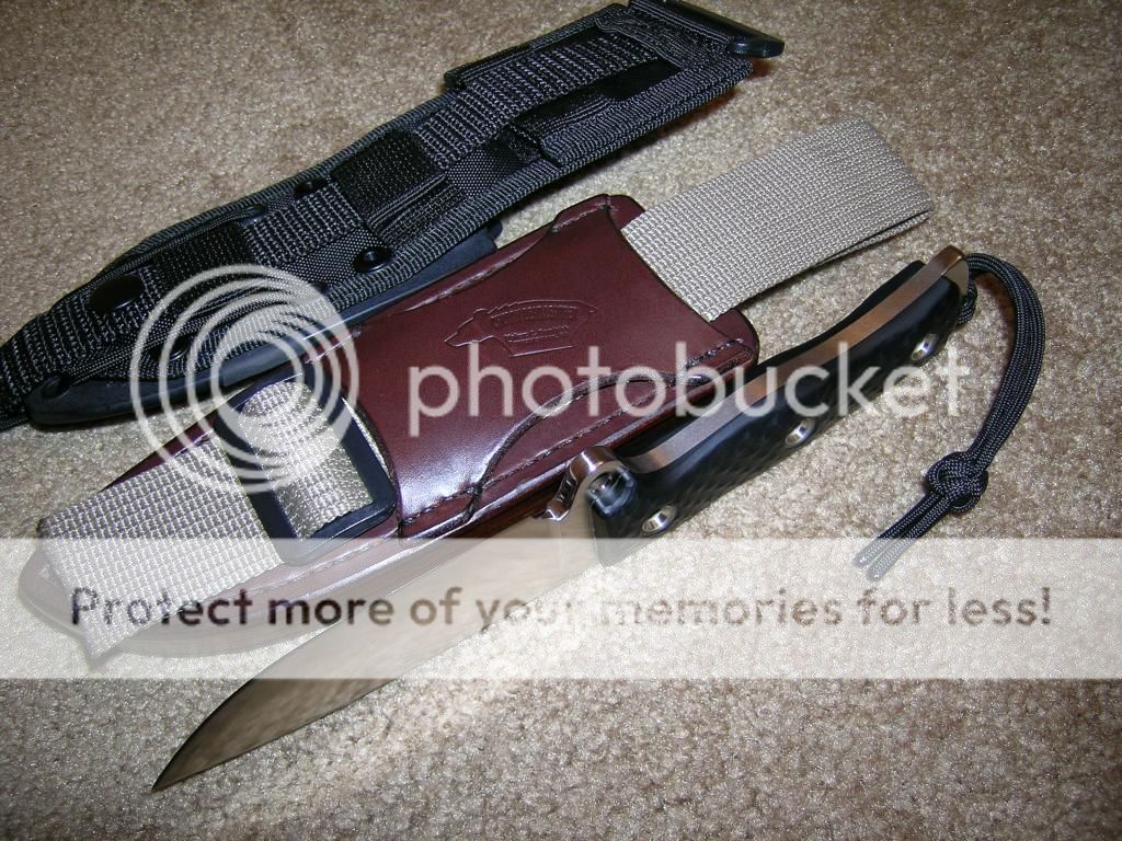 DSCN4184_zpsb411dd5c.jpg