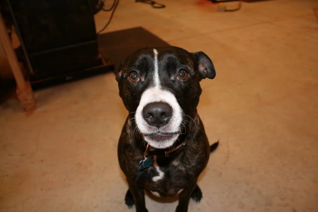 Lilah-1.jpg