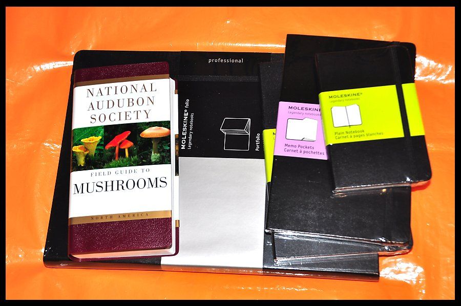 mushroom_book_moleskines_zps2f0f5119.jpg