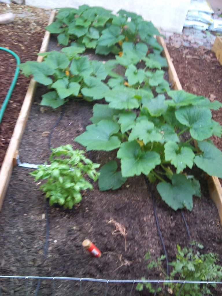 2011-09-17182141.jpg