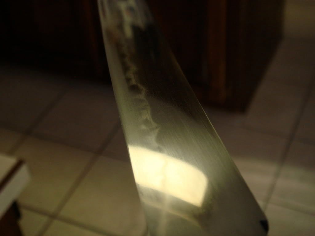 DSC02903.jpg