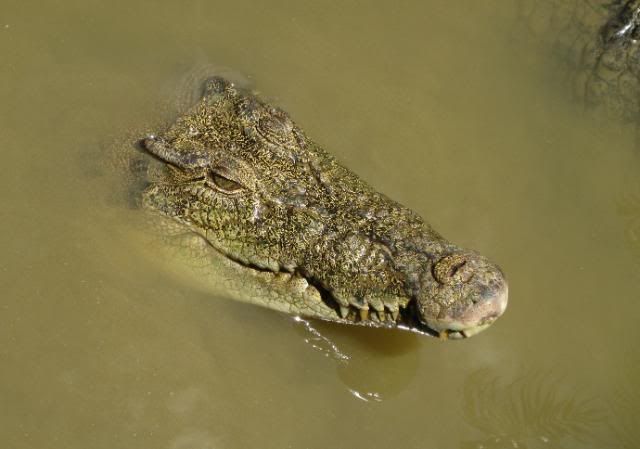 IMG_0086.jpg