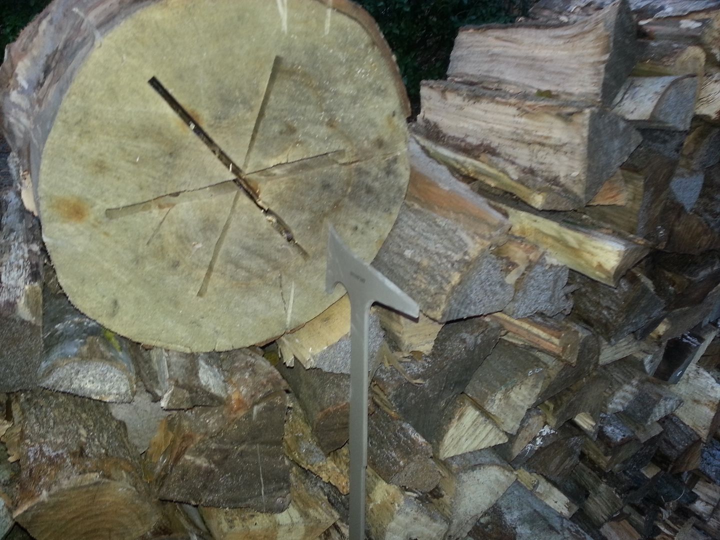 20130111_171604.jpg