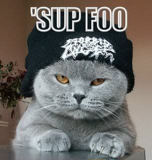 lolcat_sup-foo.jpg