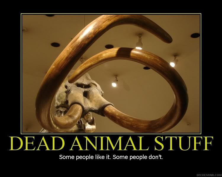 DASposter49504723.jpg