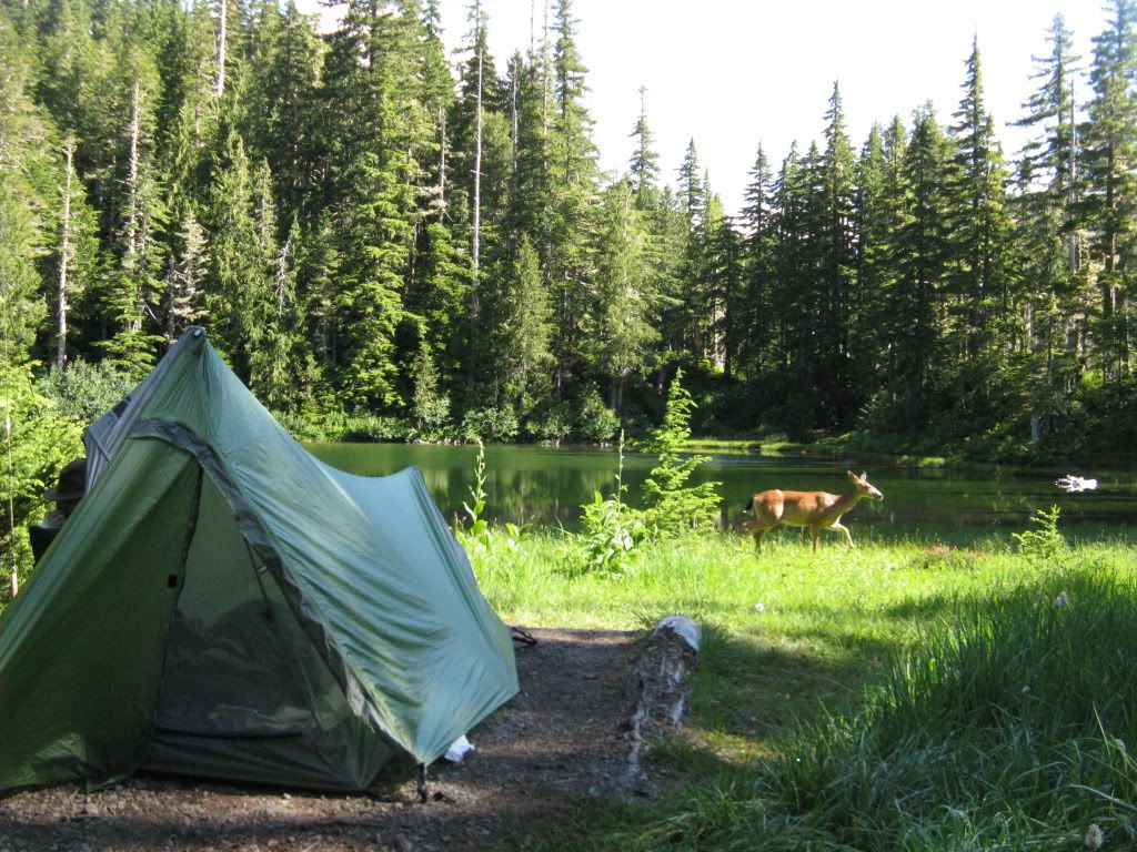 deerlake1.jpg