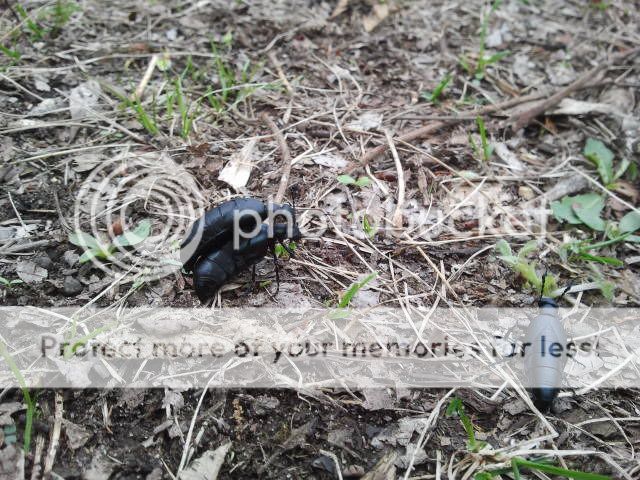 2012-03-25151337.jpg