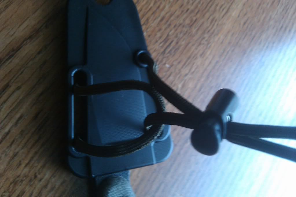 IMAG0410.jpg