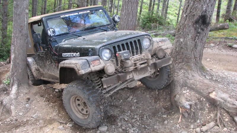 IMG_0298.jpg