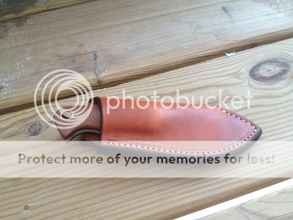 IMG_0341_zps4d37747d.jpg