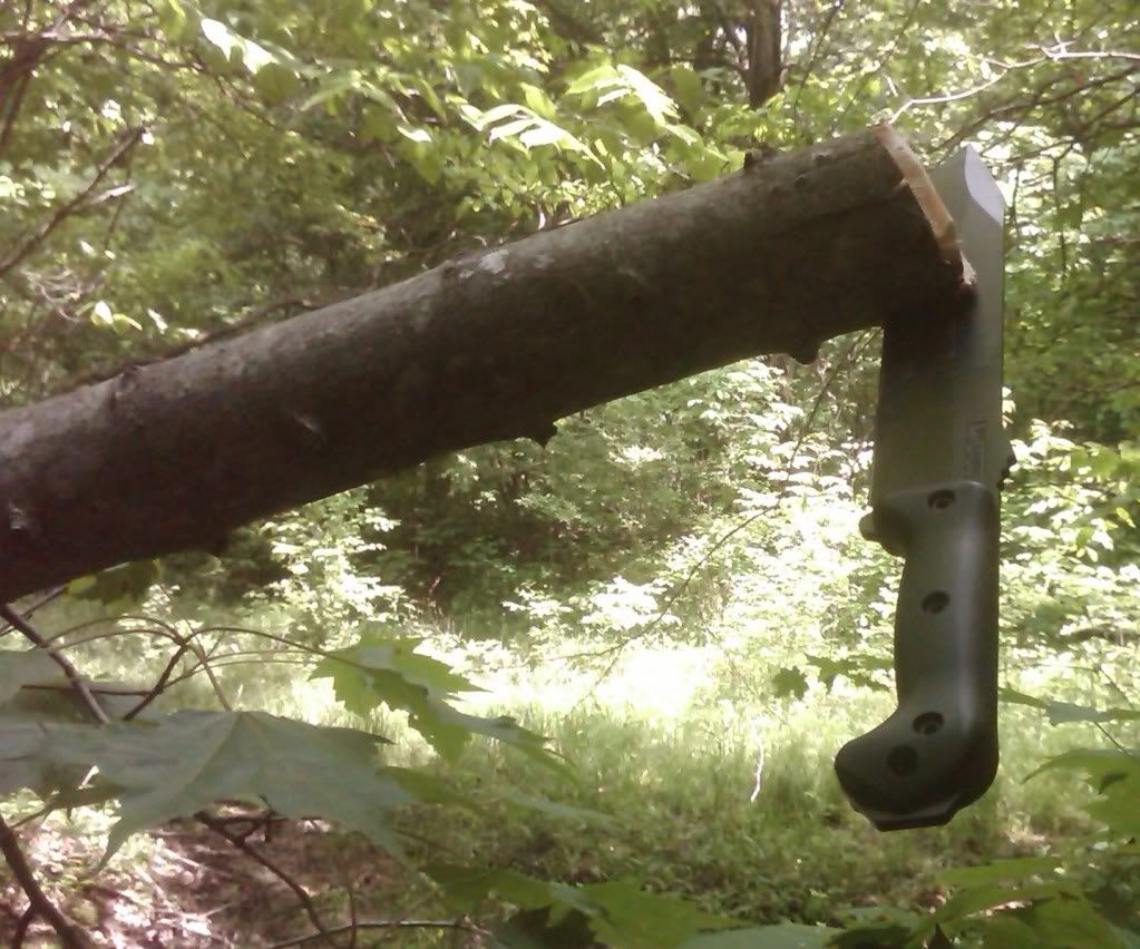 20110528_ac09.jpg