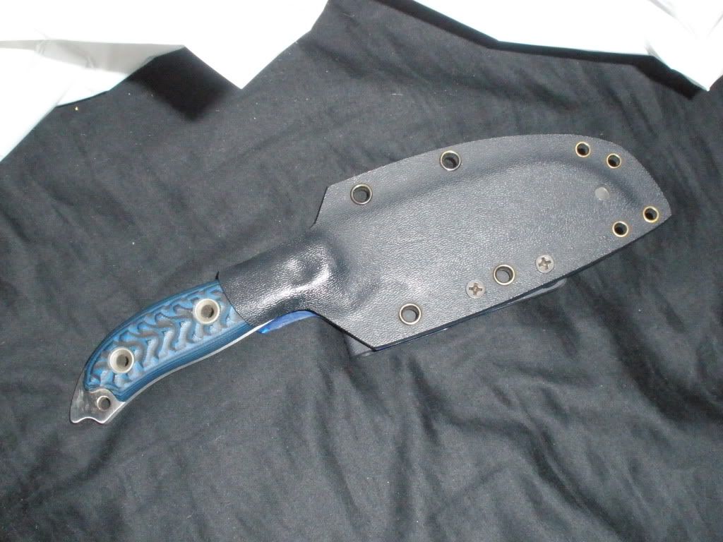 PB260358.jpg