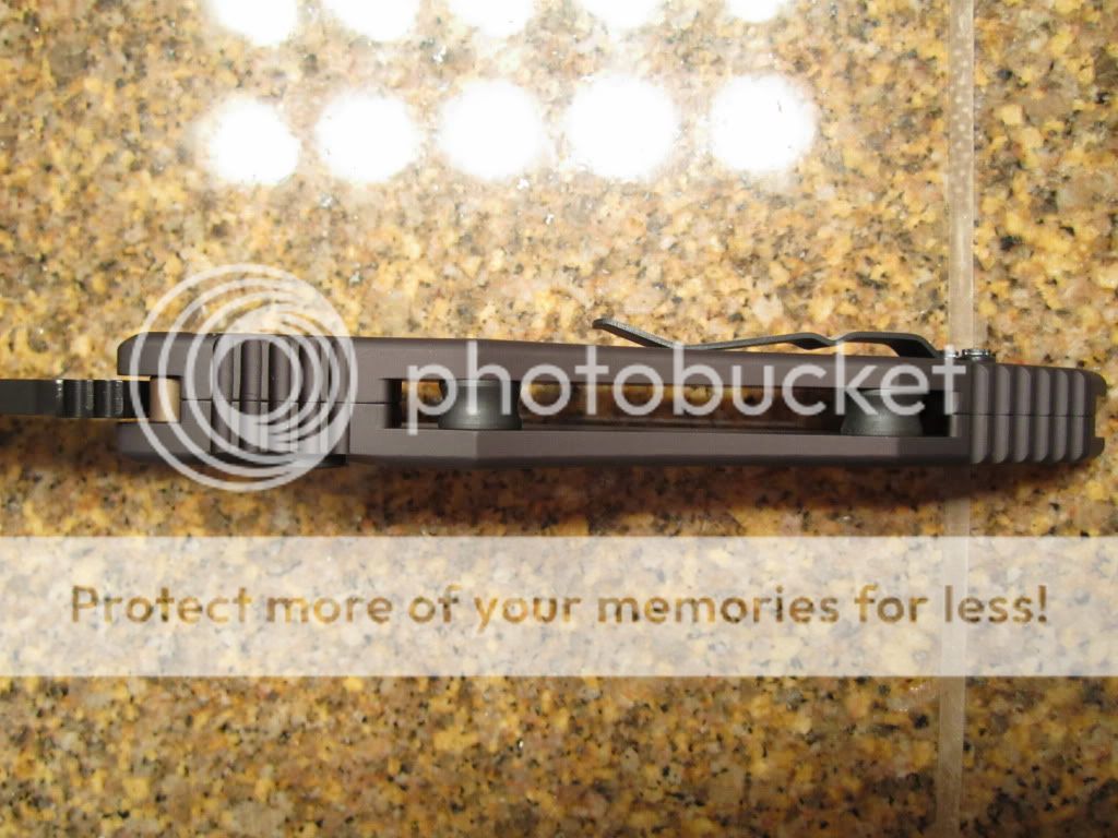 IMG_0748.jpg